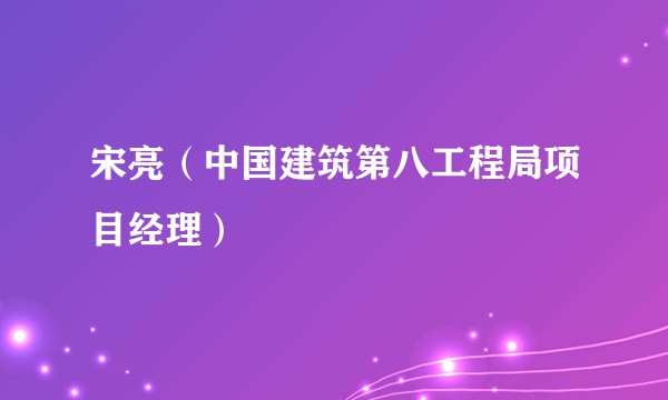 宋亮（中国建筑第八工程局项目经理）