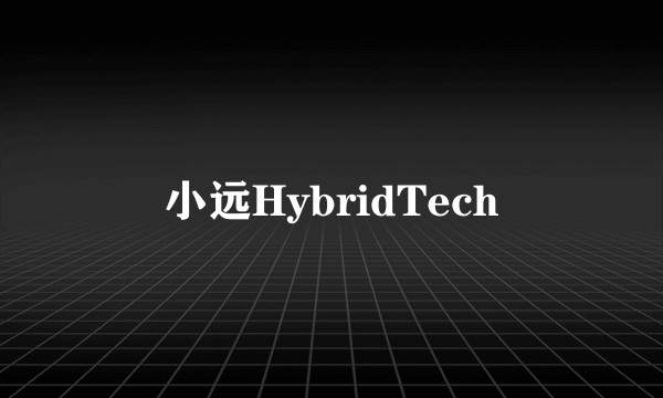 小远HybridTech