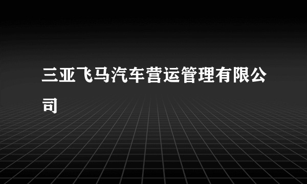 三亚飞马汽车营运管理有限公司