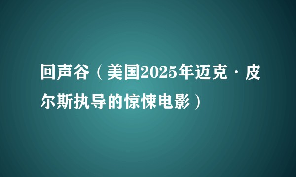 回声谷(美国2025年迈克·皮尔斯执导的惊悚电影)