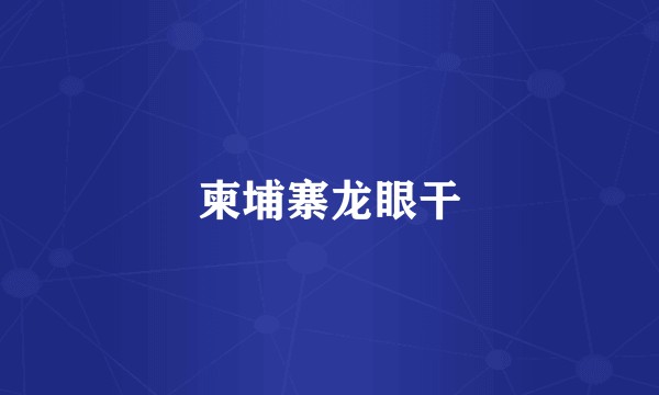 柬埔寨龙眼干