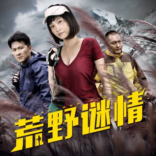 荒野谜情