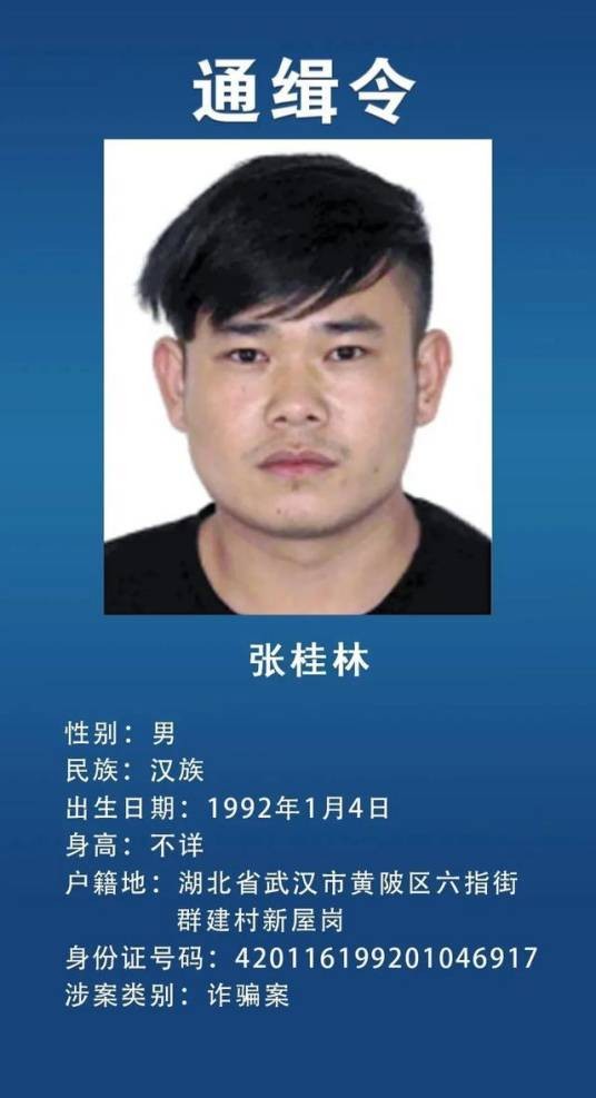 张桂林（湖北省公安厅公开通缉的在逃人员）
