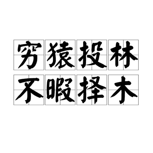 穷猿投林，不暇择木