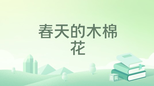 春天的木棉花