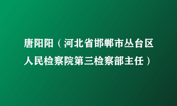 唐阳阳（河北省邯郸市丛台区人民检察院第三检察部主任）