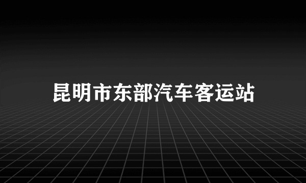 昆明市东部汽车客运站