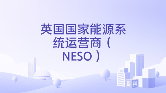 英国国家能源系统运营商（NESO）