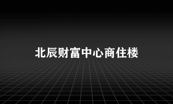 北辰财富中心商住楼