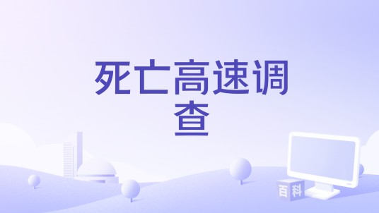 死亡高速调查