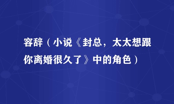 容辞（小说《封总，太太想跟你离婚很久了》中的角色）