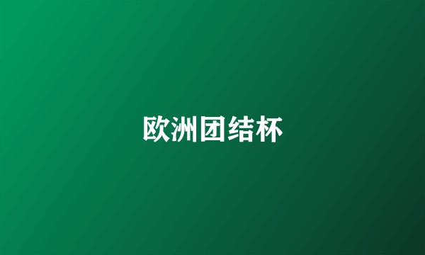 欧洲团结杯