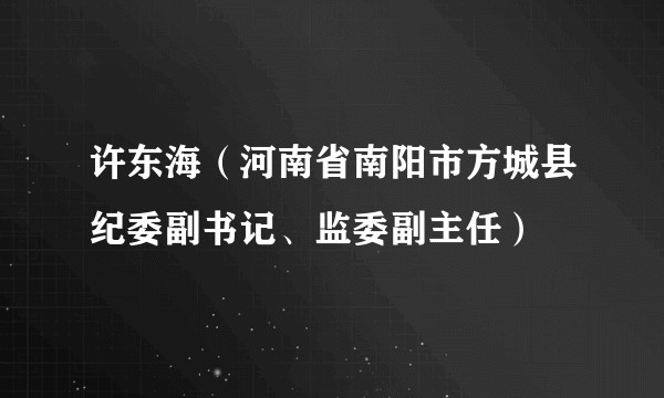 许东海（河南省南阳市方城县纪委副书记、监委副主任）