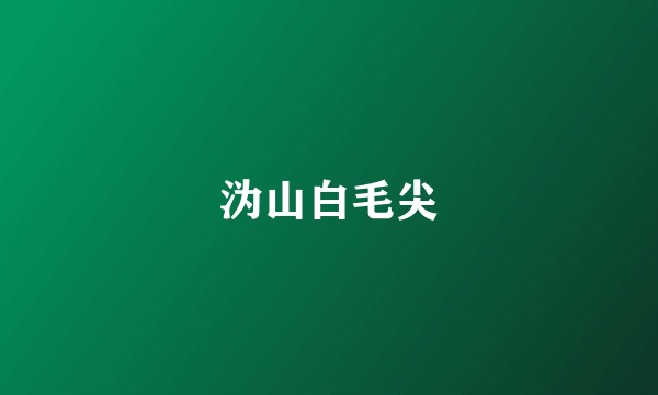 沩山白毛尖