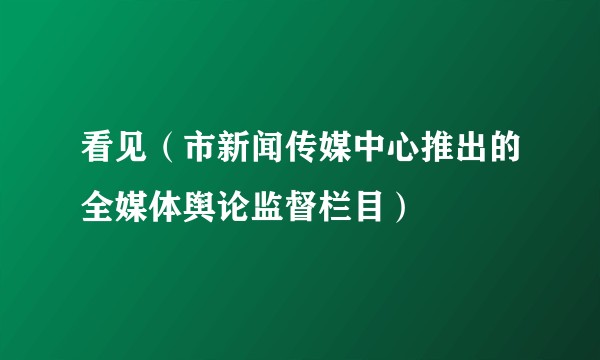 看见（市新闻传媒中心推出的全媒体舆论监督栏目）