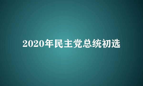 2020年民主党总统初选