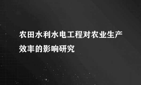 农田水利水电工程对农业生产效率的影响研究