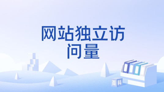 网站独立访问量