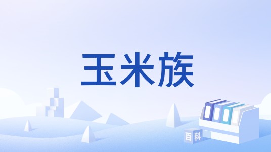 玉米族