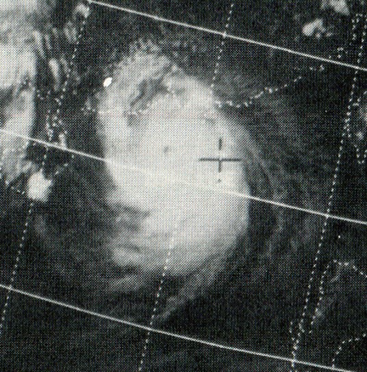 台风露丝