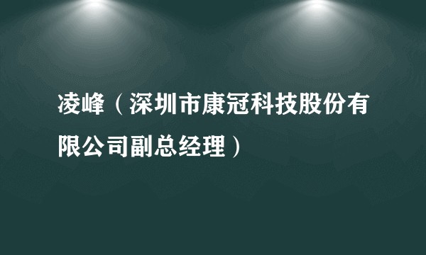 凌峰（深圳市康冠科技股份有限公司副总经理）