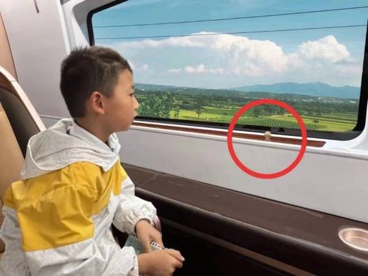王慕清（中国高铁少年）