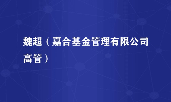 魏超（嘉合基金管理有限公司高管）