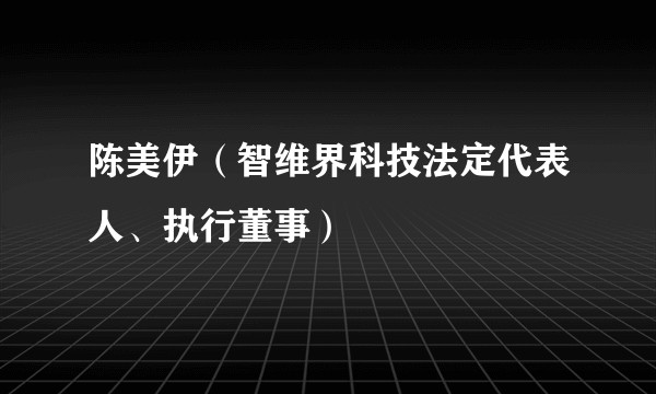 陈美伊（智维界科技法定代表人、执行董事）