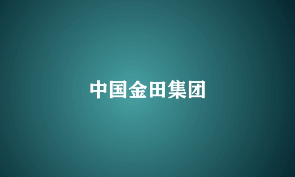 中国金田集团