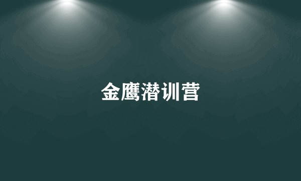 金鹰潜训营