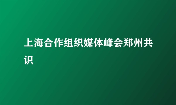 上海合作组织媒体峰会郑州共识