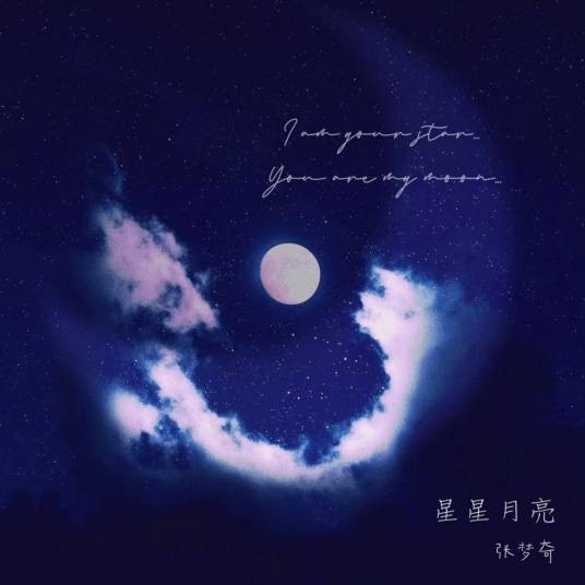 星星月亮（张梦奇创作的音乐）
