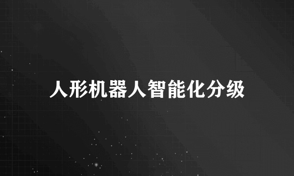 人形机器人智能化分级