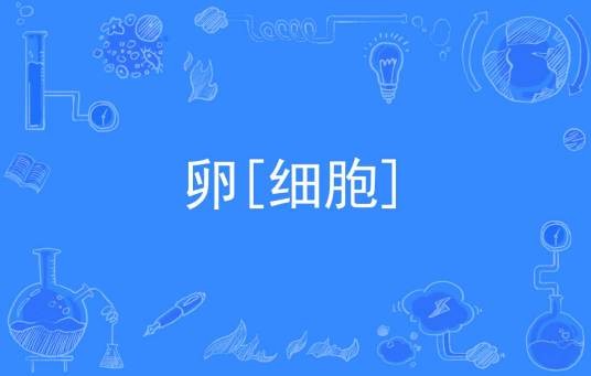 卵[细胞]