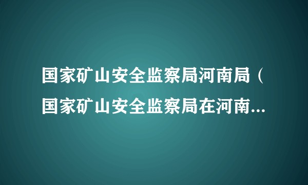 国家矿山安全监察局河南局（国家矿山安全监察局在河南省的分支机构）