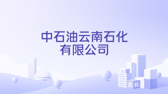 中石油云南石化有限公司
