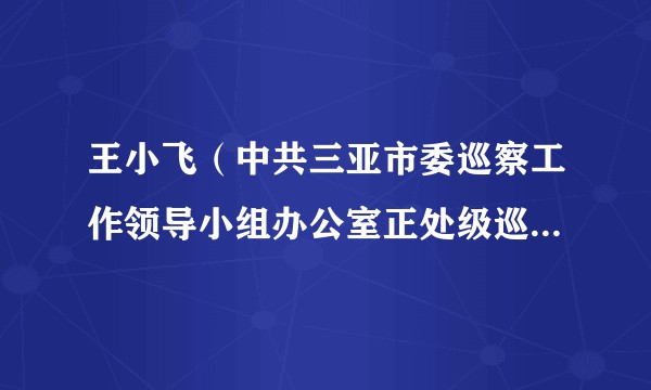 王小飞（中共三亚市委巡察工作领导小组办公室正处级巡察专员（市委巡察组专职组长）、三级高级监察官）
