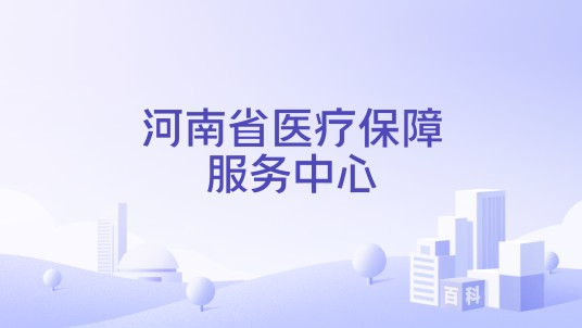 河南省医疗保障服务中心