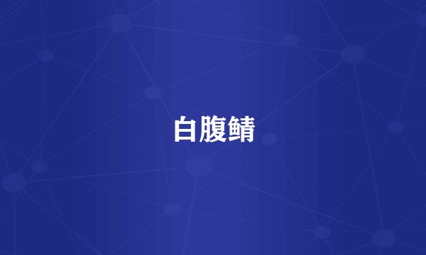 白腹鲭