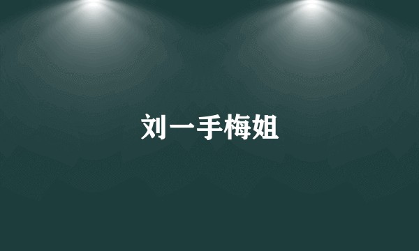 刘一手梅姐