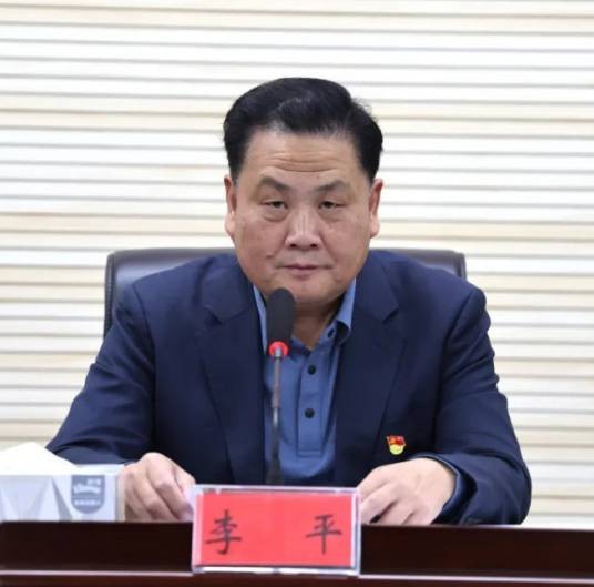 李平（湖北省委第一巡视组原组长）