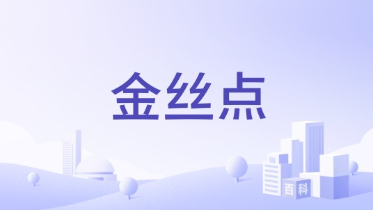金丝点