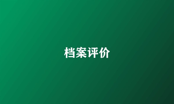 档案评价