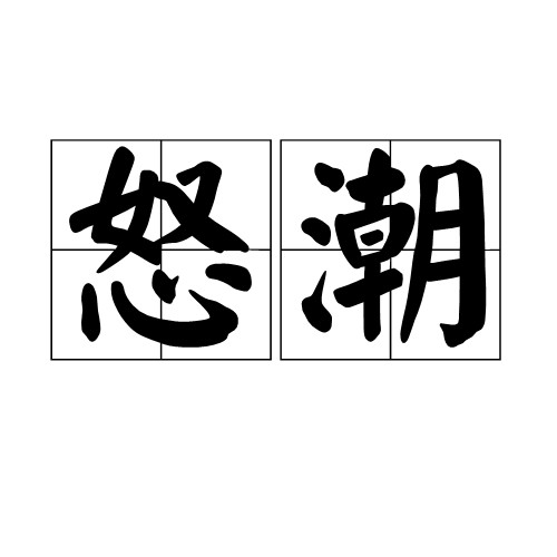 怒潮（文化术语）