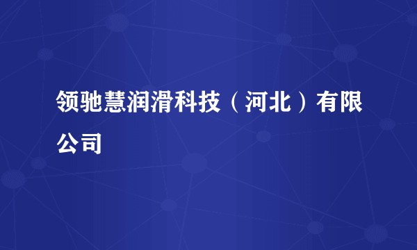 领驰慧润滑科技（河北）有限公司