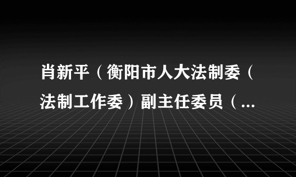 肖新平（衡阳市人大法制委（法制工作委）副主任委员（副主任））