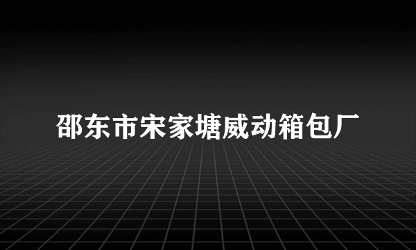 邵东市宋家塘威动箱包厂