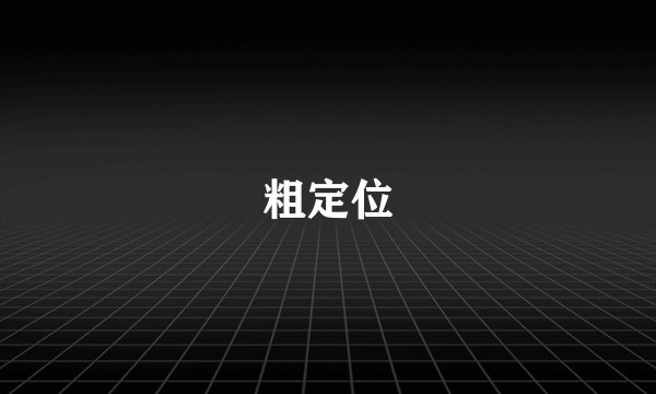 粗定位