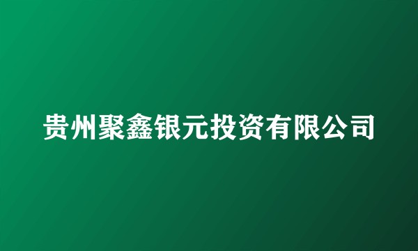 贵州聚鑫银元投资有限公司