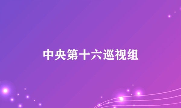 中央第十六巡视组